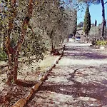 Degli Olivi Nature * Sienne