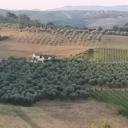 Degli Olivi Nature * Siena