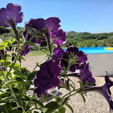 Degli Olivi Spa&nature *