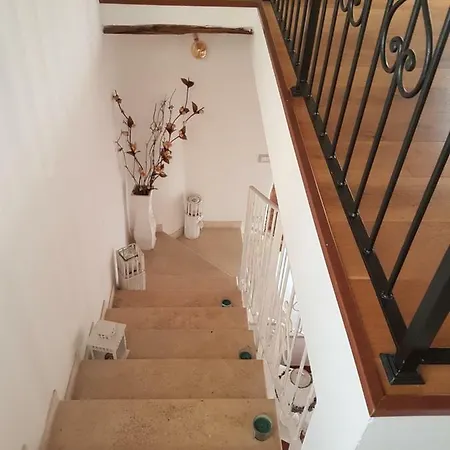 Degli Olivi Nature *