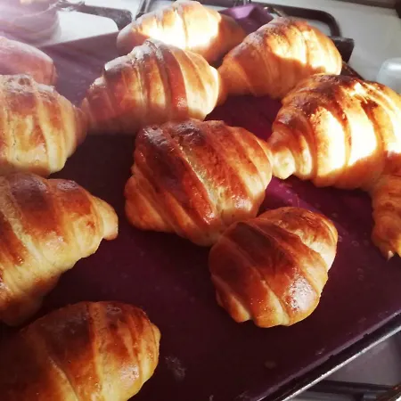 Degli Olivi Nature Vila Siena