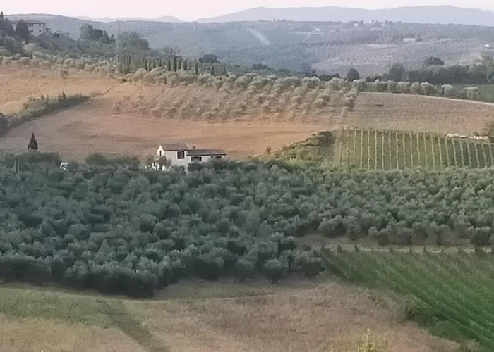 Degli Olivi Nature * Siena