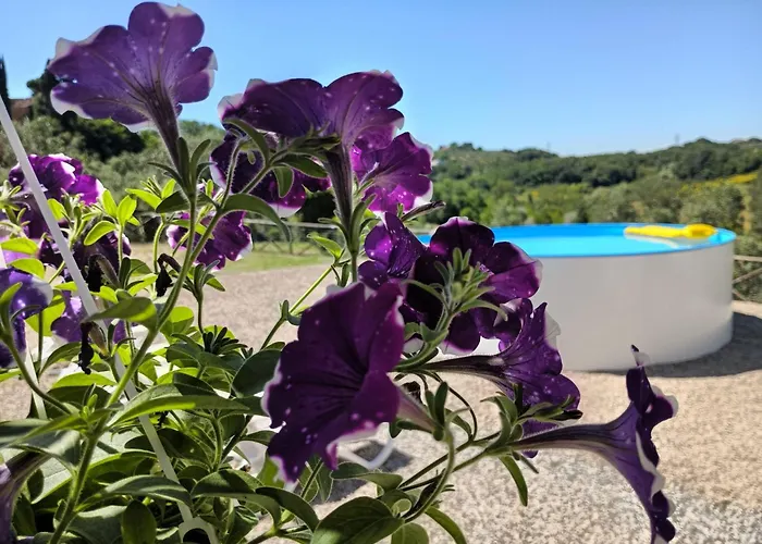 Degli Olivi Nature *