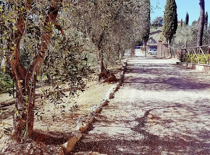 Degli Olivi Nature * سيينا