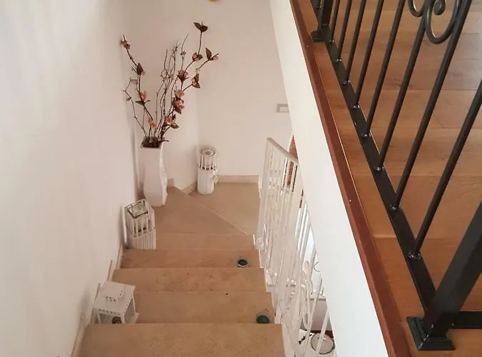 Degli Olivi Nature *