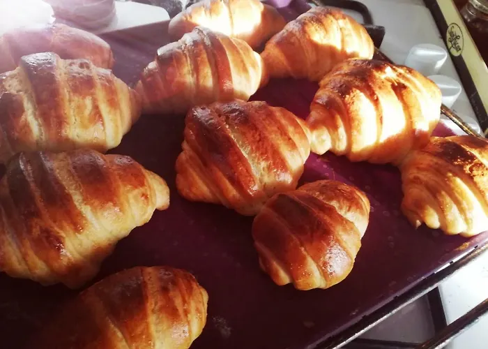 Degli Olivi Nature Willa Siena