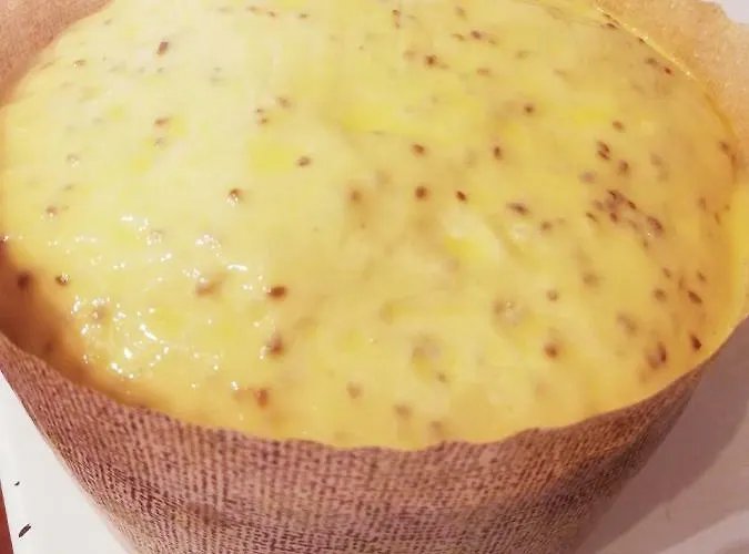 Willa Degli Olivi Nature