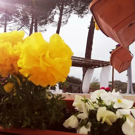 Degli Olivi Spa&nature