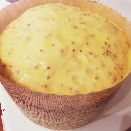 Villa Degli Olivi Nature