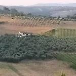 Degli Olivi Nature * 시에나