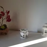 Degli Olivi Nature 시에나