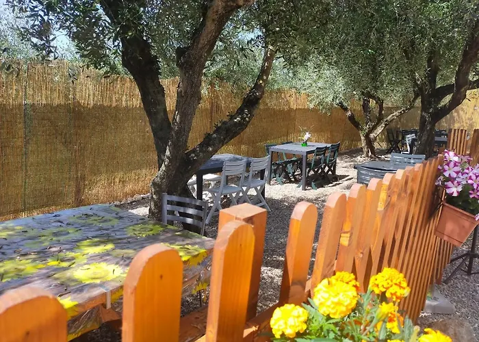 Degli Olivi Nature * 锡耶纳