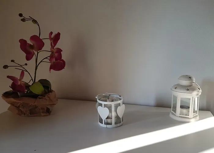 Degli Olivi Nature 锡耶纳